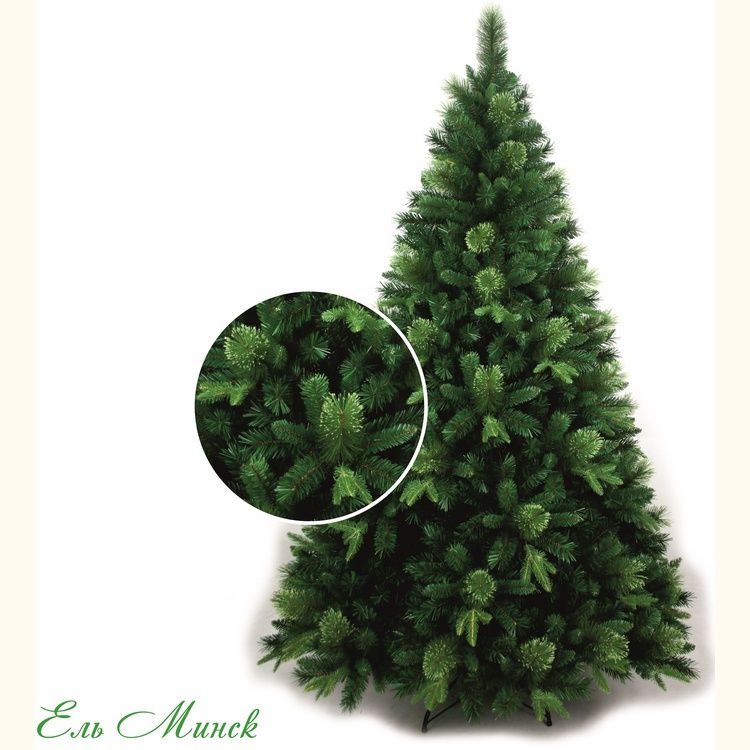  Classic Christmas Tree   1.55  Classic Fir Minsk