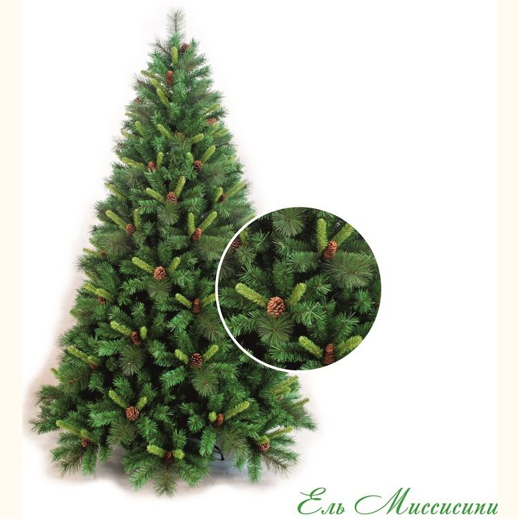  Classic Christmas Tree   3,05 Classic Fir Mississippi