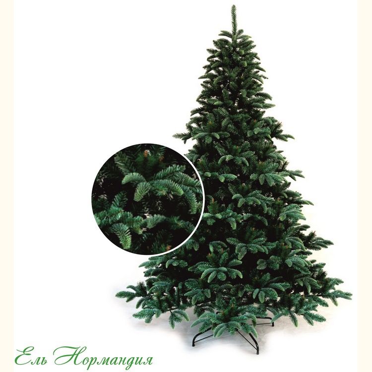  Classic Christmas Tree  1.25   Classic Fir Normandy