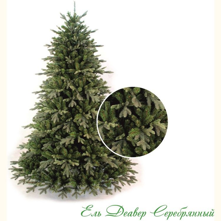  Classic Christmas Tree   1.25 Classic Fir Deaware Silver